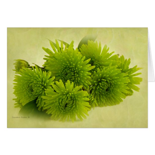 Green Mums Card (Front Horizontal)