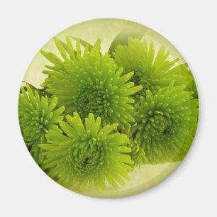 Green Mums Magnet