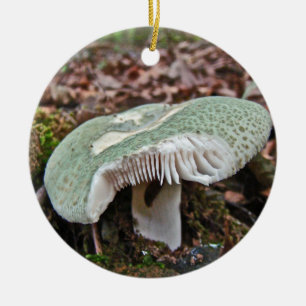 Green Mushroom - Russula crusosa Ceramic Tree Decoration