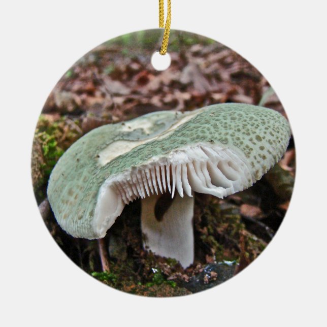 Green Mushroom - Russula crusosa Ceramic Tree Decoration (Front)