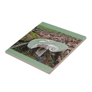 Green Mushroom - Russula crusosa Tile