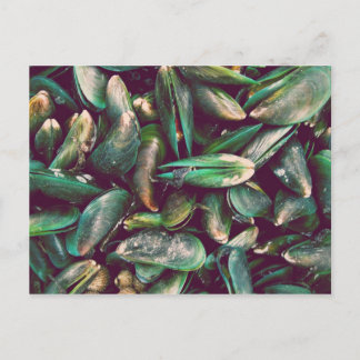 Green Mussels Postcard