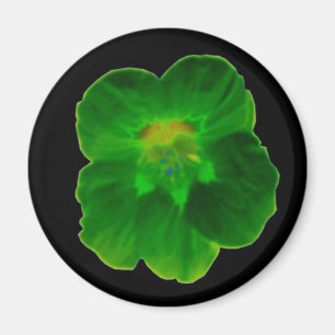 Green Nasturtium Magnet