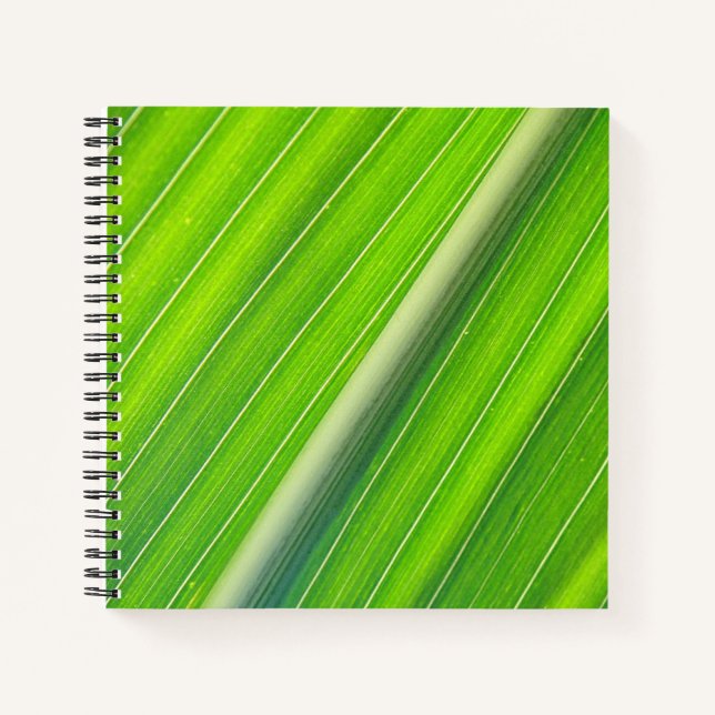 Green natural striped pattern notebook (Front)