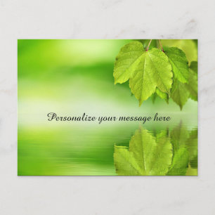 Green Nature Leaves Dew Personalised Announcement Postcard