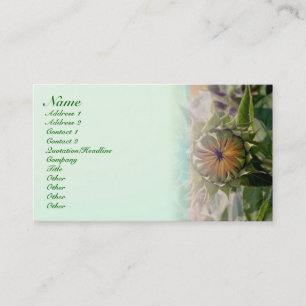 Green Nature Profile Card