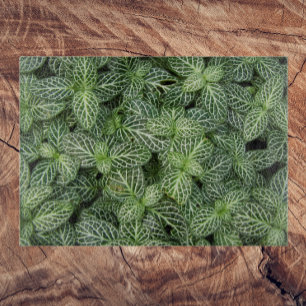 Green Nerve Plant Leaves Floral Cutting Board