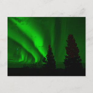 Green Northern Lights Postcard