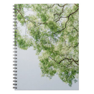 green notebook