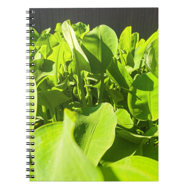 Green Oasis Notebook - Lush Green Plants Design (Front)