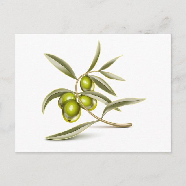 Green olives branch postcard (Front)