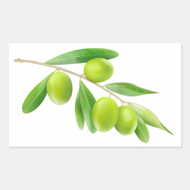 Green olives branch rectangular sticker (Front)