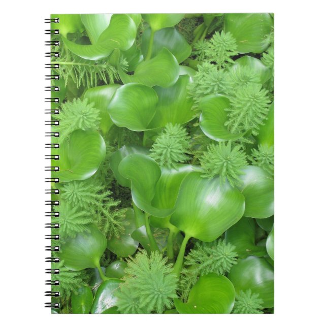 Green on Green Notebook (Front)