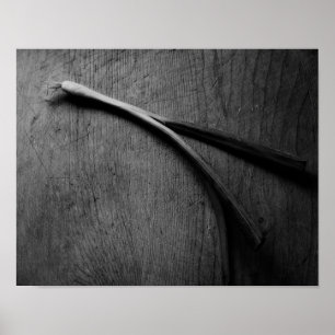 Green Onion Still Life Poster