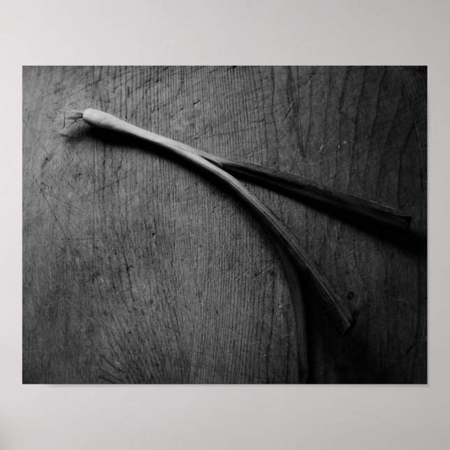 Green Onion Still Life Poster (Front)