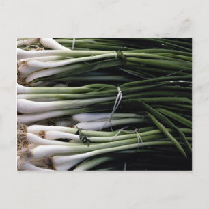 Green onions postcard