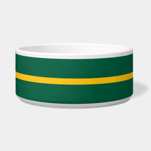 Green & Orange ceramic pet food bowl