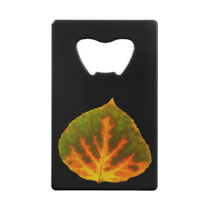 Green Orange & Yellow Aspen Leaf #1