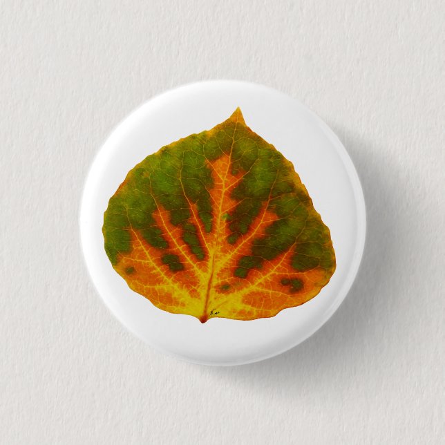 Green Orange & Yellow Aspen Leaf #1 3 Cm Round Badge (Front)