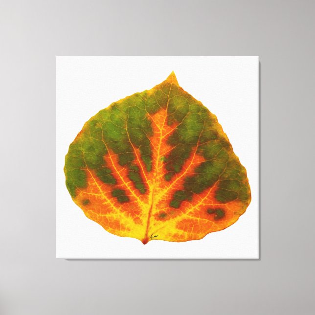 Green Orange & Yellow Aspen Leaf #1 Canvas Print (Front)