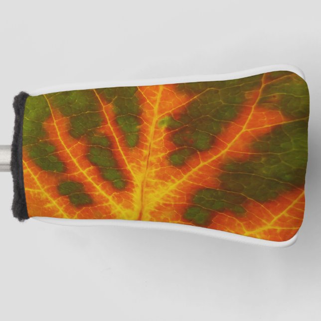 Green Orange & Yellow Aspen Leaf #1 Golf Head Cover (Front)