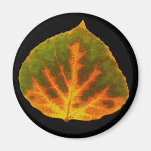 Green Orange & Yellow Aspen Leaf #1 Magnet
