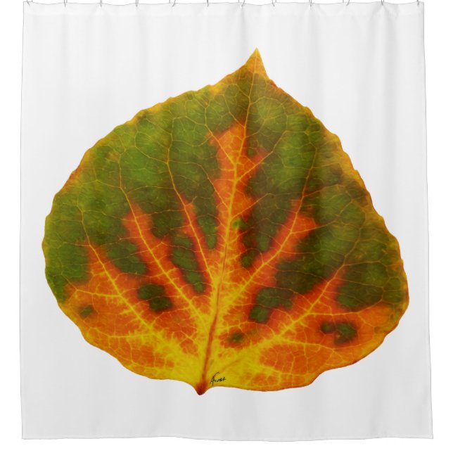 Green Orange & Yellow Aspen Leaf #1 Shower Curtain (Front)