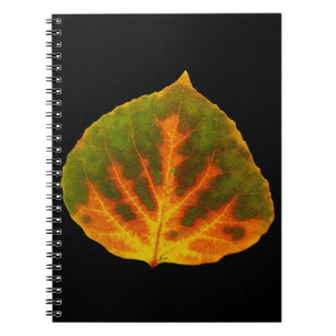Green Orange & Yellow Aspen Leaf #1 Spiral Notebook