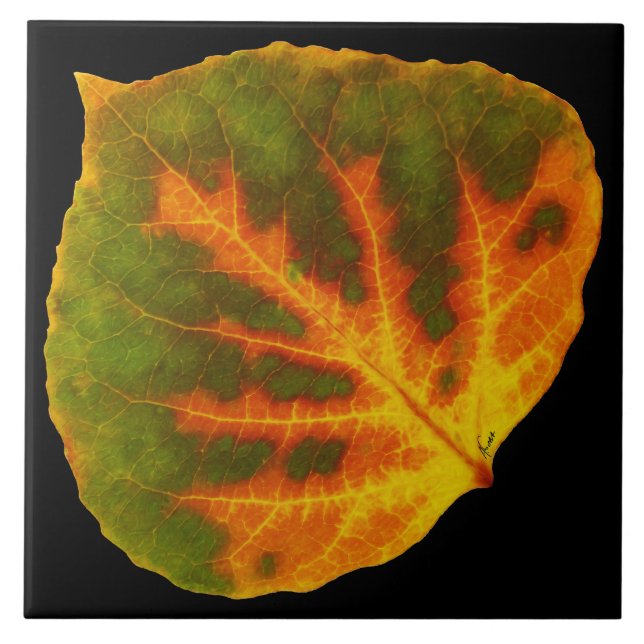 Green Orange & Yellow Aspen Leaf #1 Tile (Front)