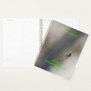  Green Orb Weaver Spider On Web School  Classroom  Planner