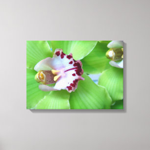 Green Orchids Canvas Print