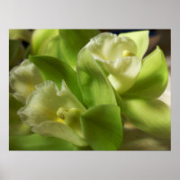 Green Orchids Silk and Satin 1