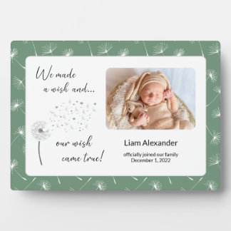 Green Our Wish Came True New Baby Newborn Photo Plaque