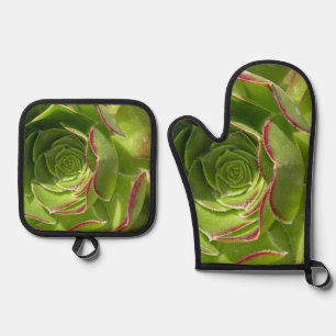 Green Oven Mitt & Pot Holder Set