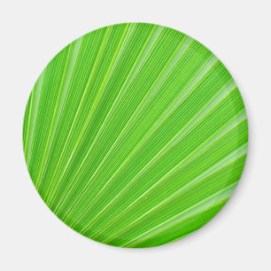 Green palm leaf background magnet