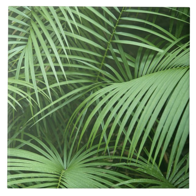 Green Palm Leaves Nature Botanical Themed Tile (Front)