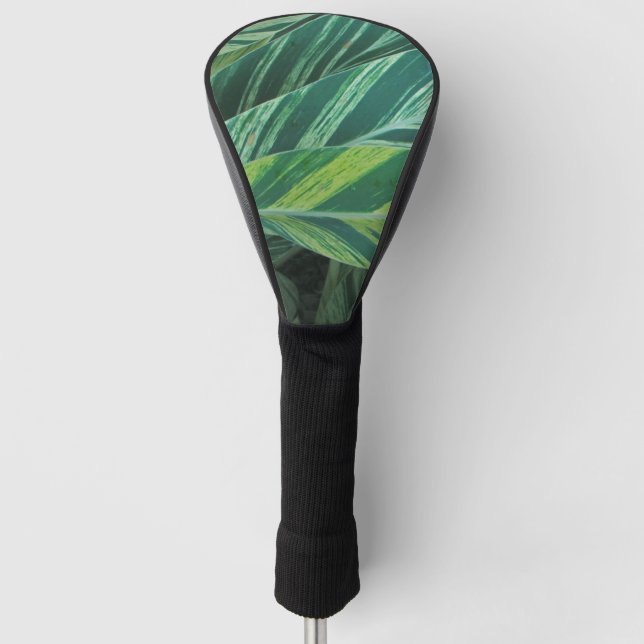 Green Palm Leaves Nature Summer Beach Golf Head Cover (Front)