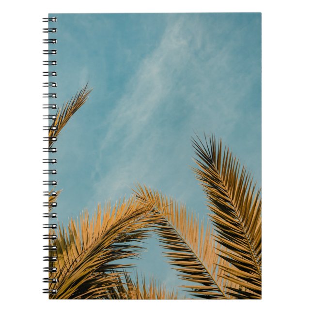 Green palm tree under blue sky in the morning notebook (Front)