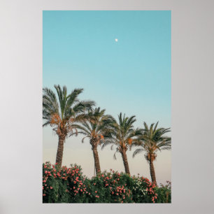 GREEN PALM TREES UNDER BLUE SKY POSTER