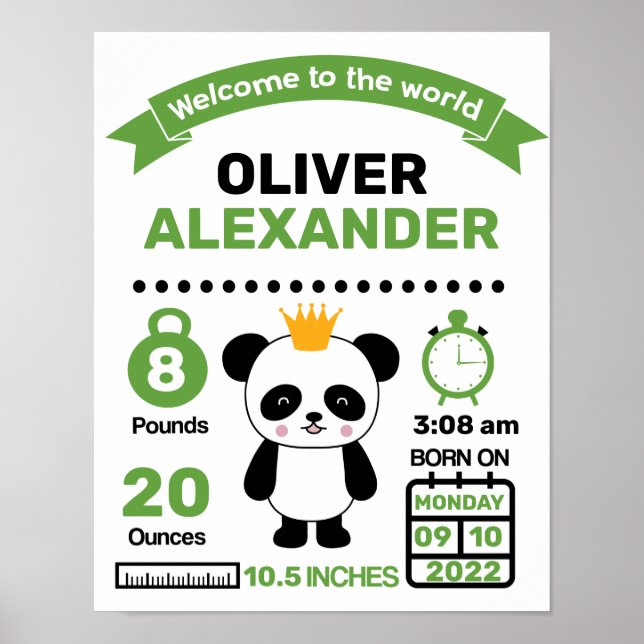 Green Panda Baby Birth Statistics Poster (Front)