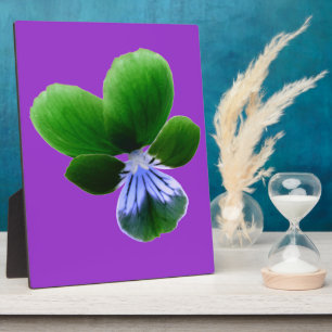 Green Pansy Plaque