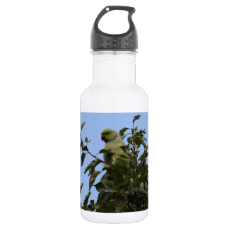 Green Parakeet 532 Ml Water Bottle