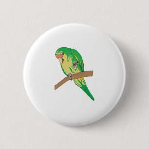 green parakeet 6 cm round badge