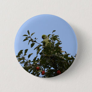 Green Parakeet 6 Cm Round Badge