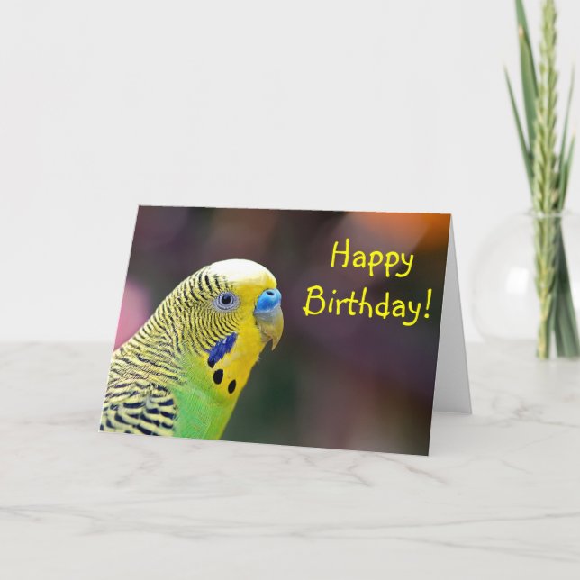 Green parakeet birthday greeting card (Front)