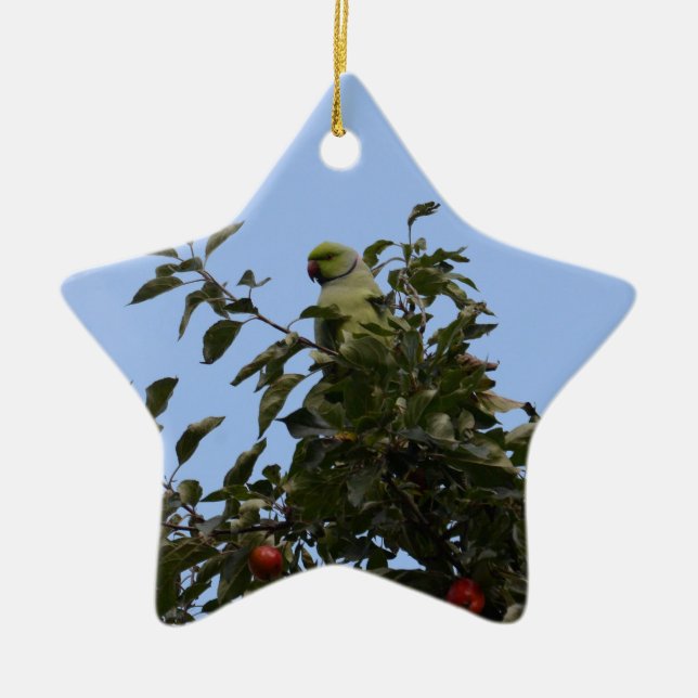 Green Parakeet Ceramic Tree Decoration (Front)
