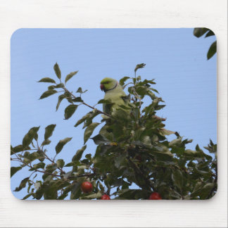 Green Parakeet Mouse Pad