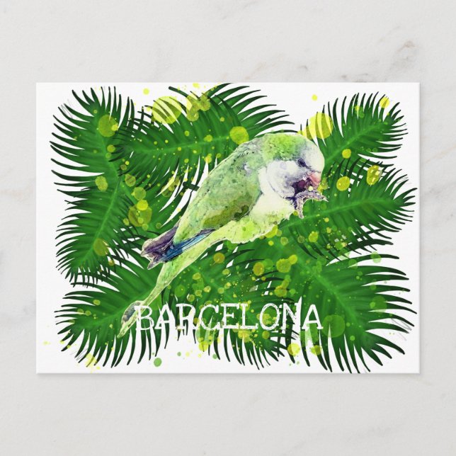 Green parrot and palm leaves watercolor postcard (Front)