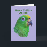 Green Parrot Birthday Greeting Card, Grandson Card<br><div class="desc">This green macaw is a member of the parrot family and he makes a colourful birthday greeting card for a grandson.</div>