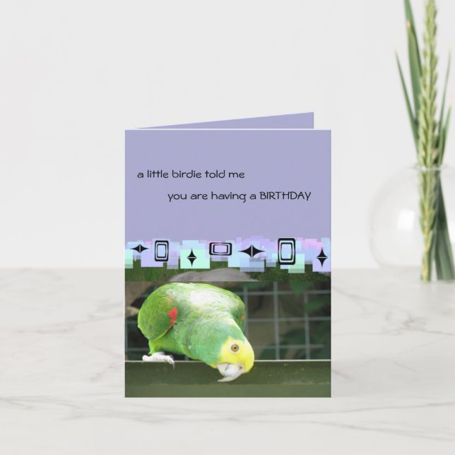 Green Parrot  Birthday Greetings Card (Front)